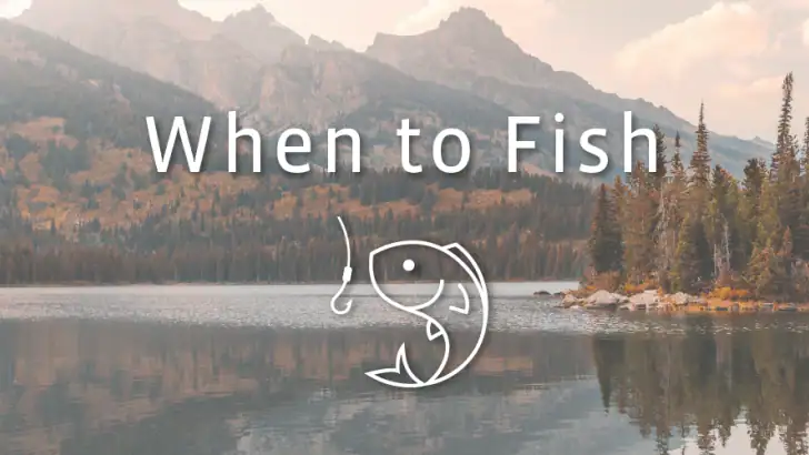 When to Fish - Fishing App feature graphic