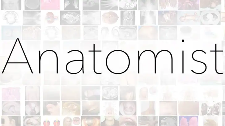 Anatomist - Le Jeu d'Anatomie feature graphic