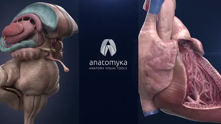 Anatomyka - 3D Anatomy Atlas feature graphic
