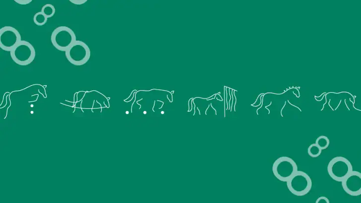 Appaloo Equestrian feature graphic