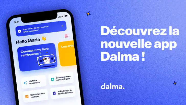 Dalma - Éducation & Assurance feature graphic