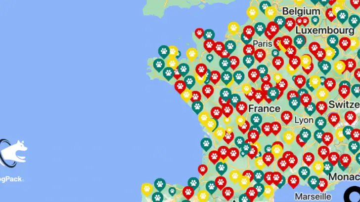 DogPack : Parcs et services feature graphic
