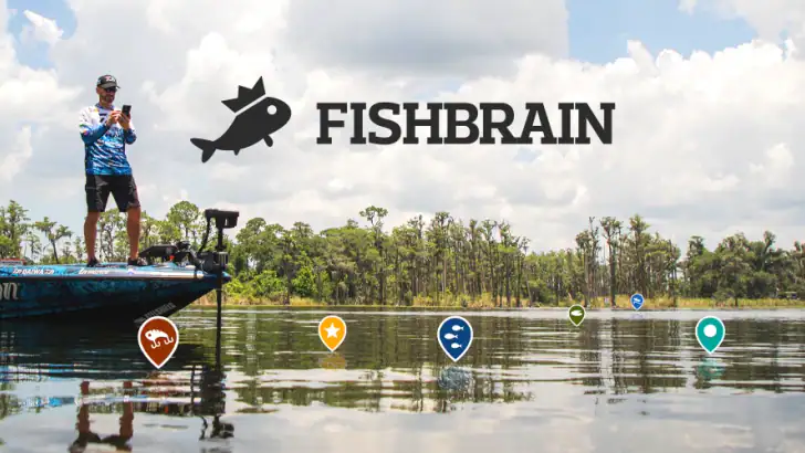 Fishbrain : Pêche feature graphic
