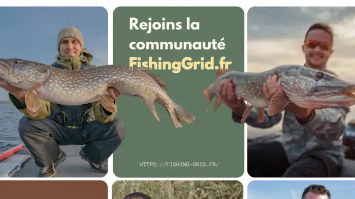 Fishing Grid - Pêche & partage feature graphic