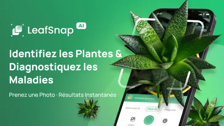 Identifier Plantes: LeafSnap feature graphic