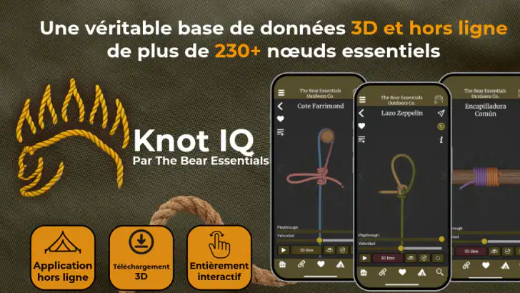 Knot IQ - The Bear Essentials feature graphic