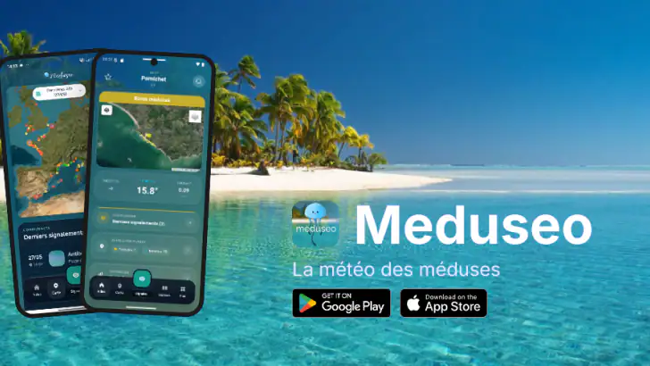 Meduseo feature graphic