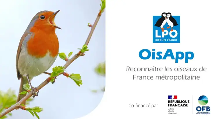Ois'App - Oiseaux de France feature graphic