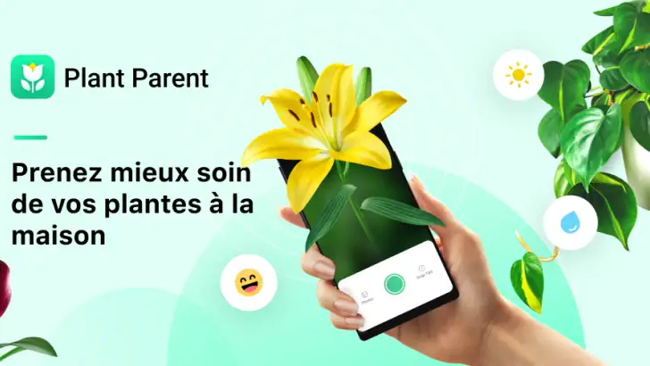 Plant Parent - Guide entretien feature graphic