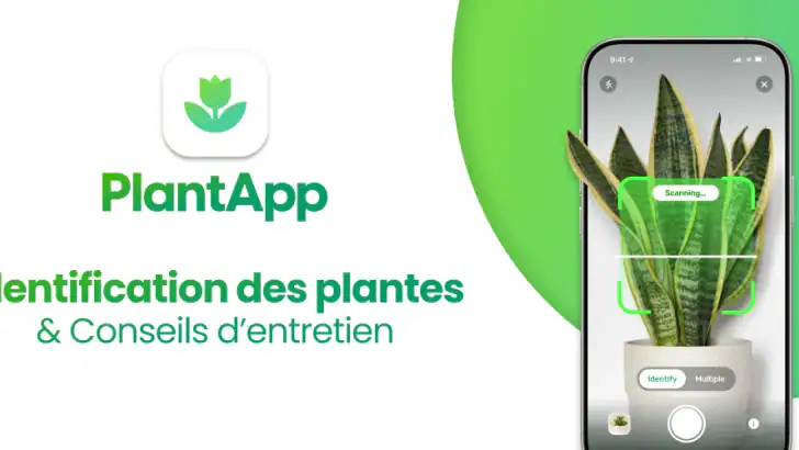 PlantApp - Identificateur feature graphic