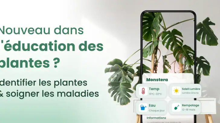 Plantify: Plante Identifiant feature graphic