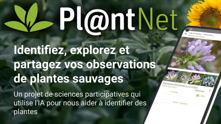PlantNet Identification Plante feature graphic