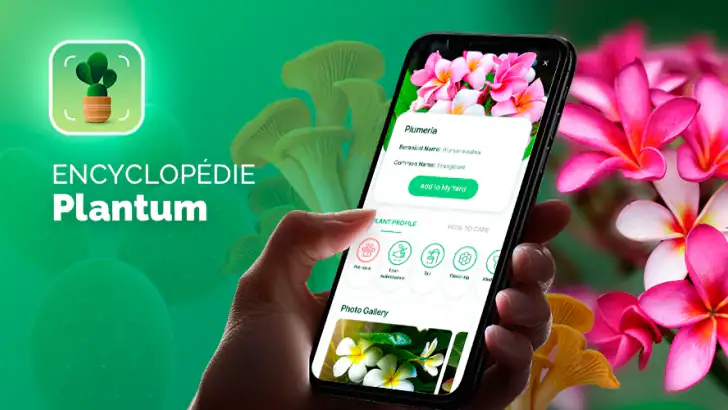 Plantum:reconnaissance plante feature graphic