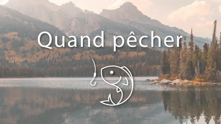 Quand pêcher feature graphic