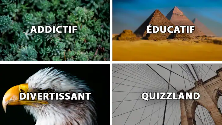 QuizzLand : quiz intelligent feature graphic