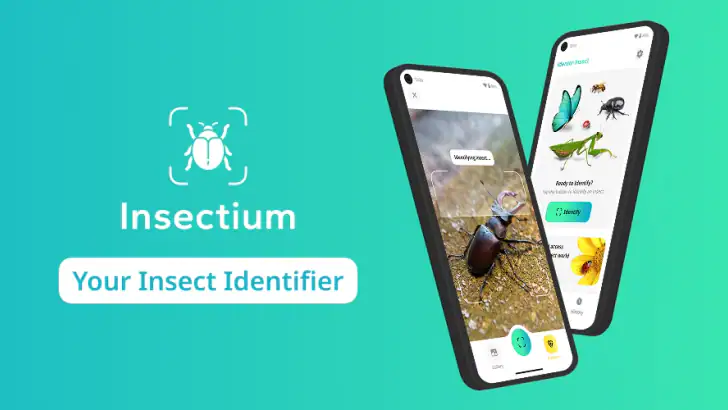 Reconnaitre Les Insectes feature graphic