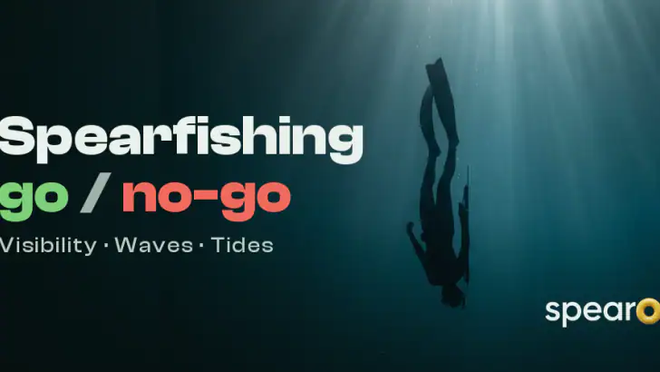 Spearo : Chasse sous-marine feature graphic