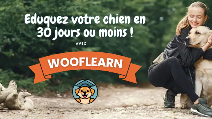 WoofLearn : Éducation du Chien feature graphic