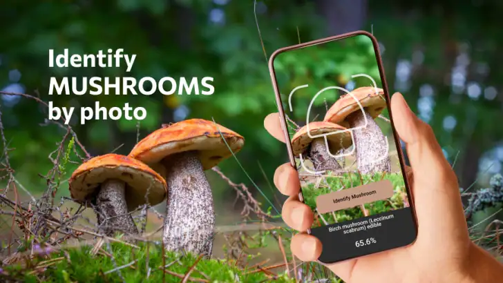 Mushroomizer feature graphic