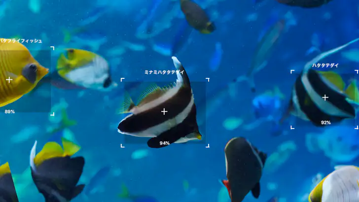 LINNÉ LENS - かざすAI図鑑 feature graphic