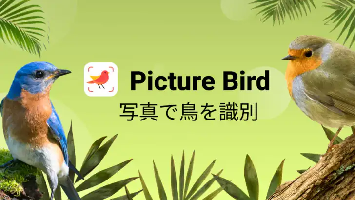 Picture Bird - 撮ったら、判る-1秒鳥図鑑 feature graphic