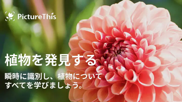 PictureThis:撮ったら 1秒でわかる 植物図鑑 feature graphic