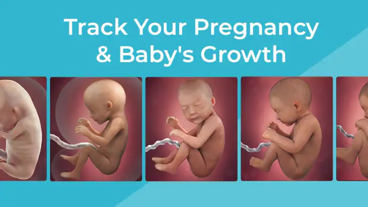 Pregnancy App & Baby Tracker feature graphic