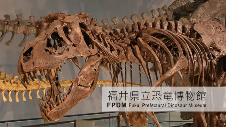 福井県立恐竜博物館　展示解説アプリ feature graphic