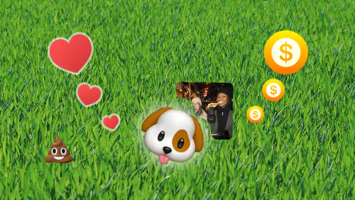 PicPet feature graphic