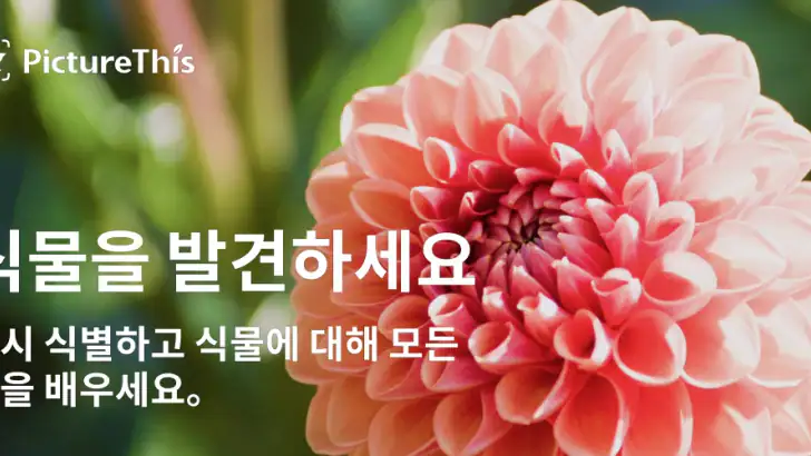 PictureThis - 꽃 & 식물 찾기 feature graphic