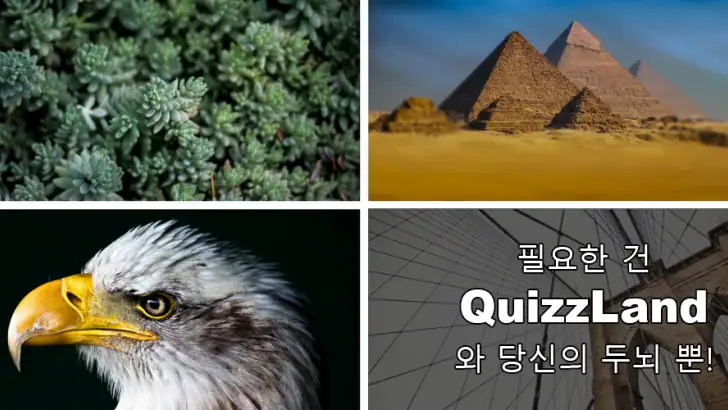 QuizzLand: 짜릿한 모바일 상식퀴즈 게임 feature graphic