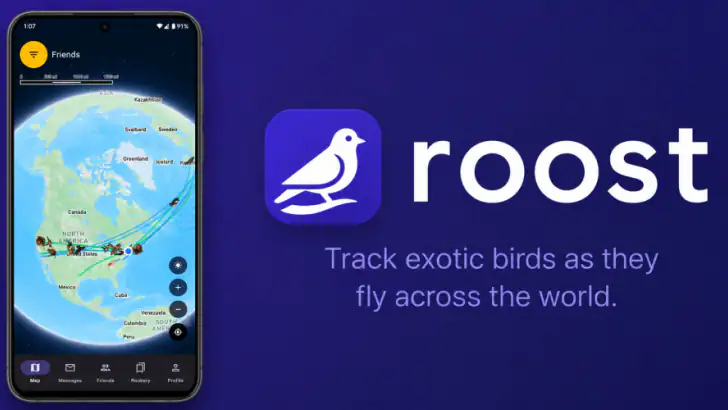 Roost Social feature graphic
