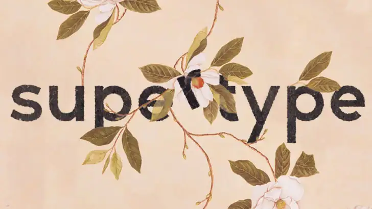 supertype feature graphic