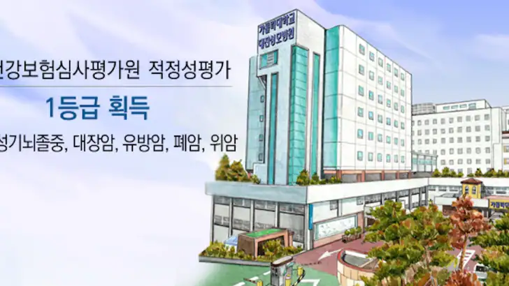 가톨릭대학교 대전성모병원 feature graphic