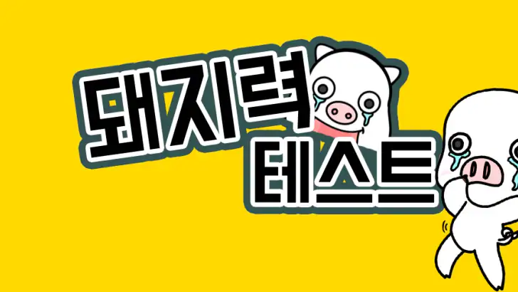 돼지력 테스트 feature graphic