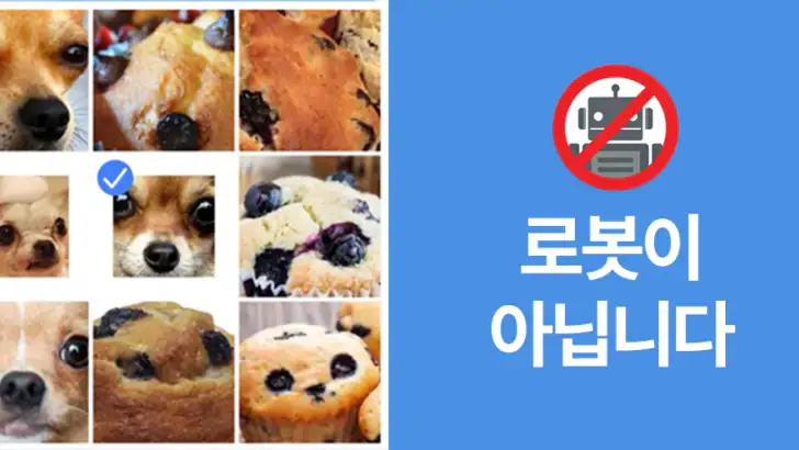 로봇이 아닙니다: 신박한 퀴즈 feature graphic