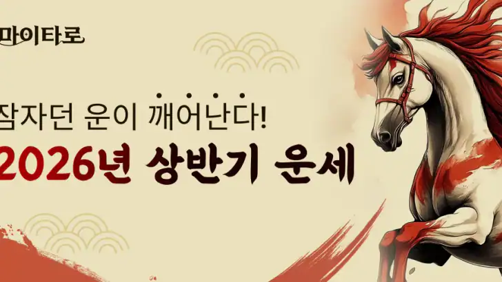 마이타로-2025 신년운세, 사주, 궁합, 연애운 타로 feature graphic