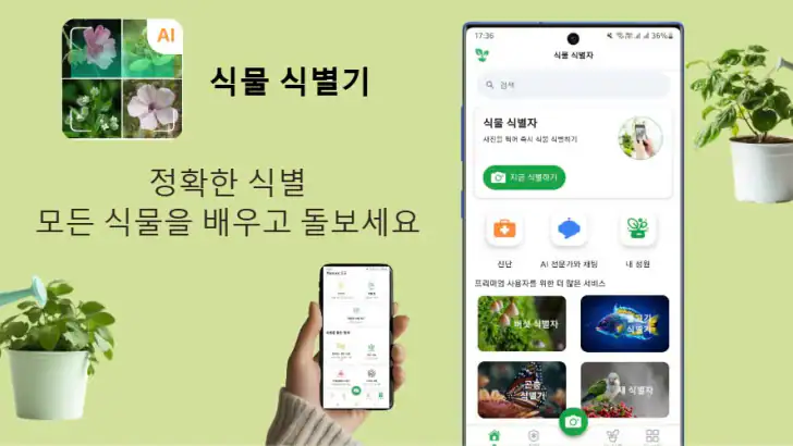 식물 식별자 feature graphic