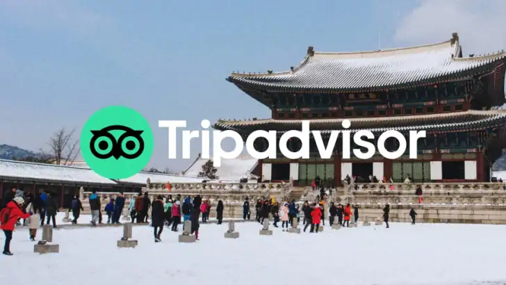 트립어드바이저: 여행 계획 및 예약하기 feature graphic