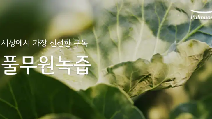 풀무원녹즙 feature graphic