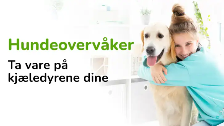 Barkio: Hundeovervåking feature graphic