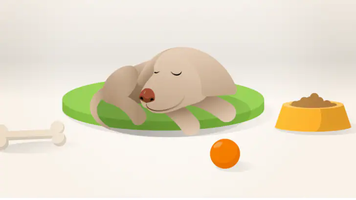 Dog Monitor: Puppy video cam feature graphic
