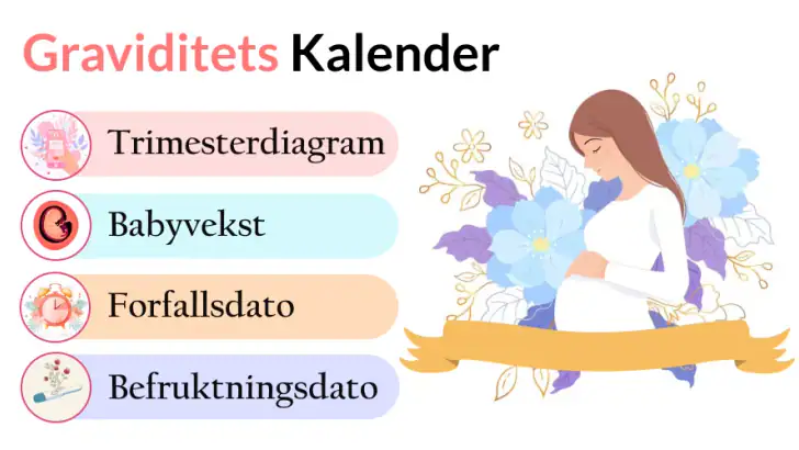 gravid app & gravidkalender feature graphic