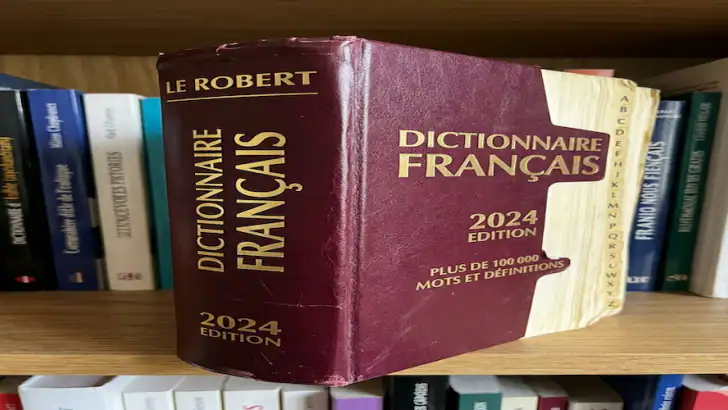 Lerobert Dictionnaire Larousse feature graphic