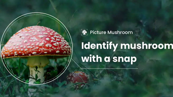 Picture Mushroom - Mushroom ID feature graphic