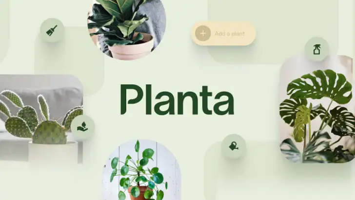 Planta – ivareta dine planter feature graphic