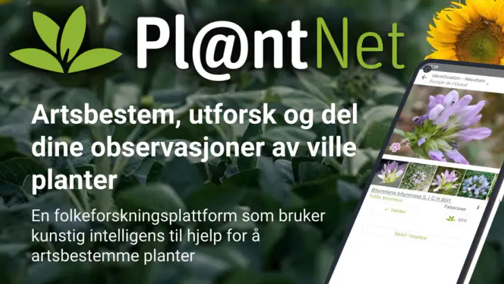 PlantNet plantegjenkjenning feature graphic