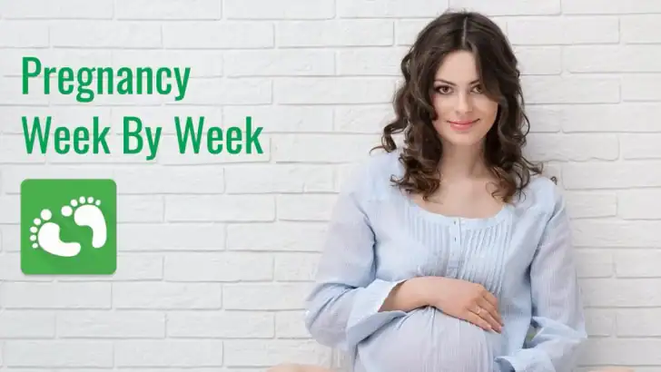 Pregnancy App feature graphic
