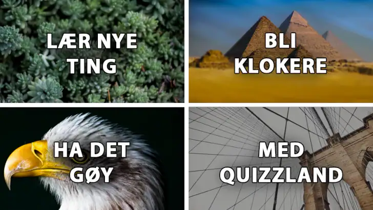 QuizzLand: Trivia på norsk feature graphic