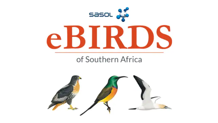 Sasol eBirds Southern Africa feature graphic